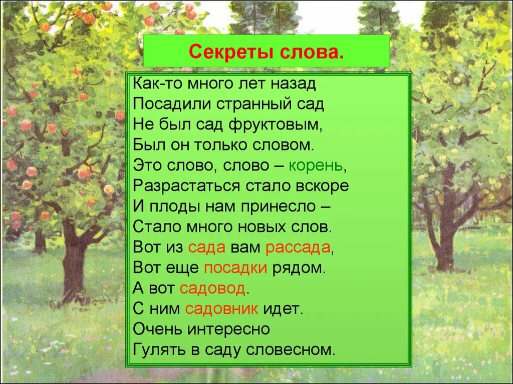 Слова с корнем сад. Дерево с корнем сад. Корень со словом сад. Сады сад корень слова.