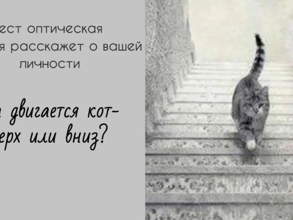 Подымается или поднимается как правильно
