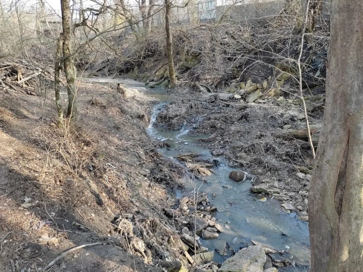 Речку грушёвая | ставрополь. Река груша. Река ташла ставропольский край. Река грушевая ставрополь. Речку грушёвая | ставрополь.