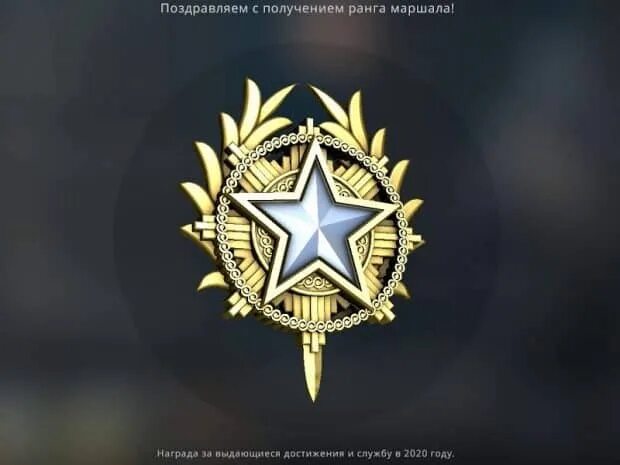 Медаль за преданность кс го. Медаль за службу 2025 кс го. медаль за верность ксго. медаль за службу 2025 кс го. медаль за службу 2015 кс го.