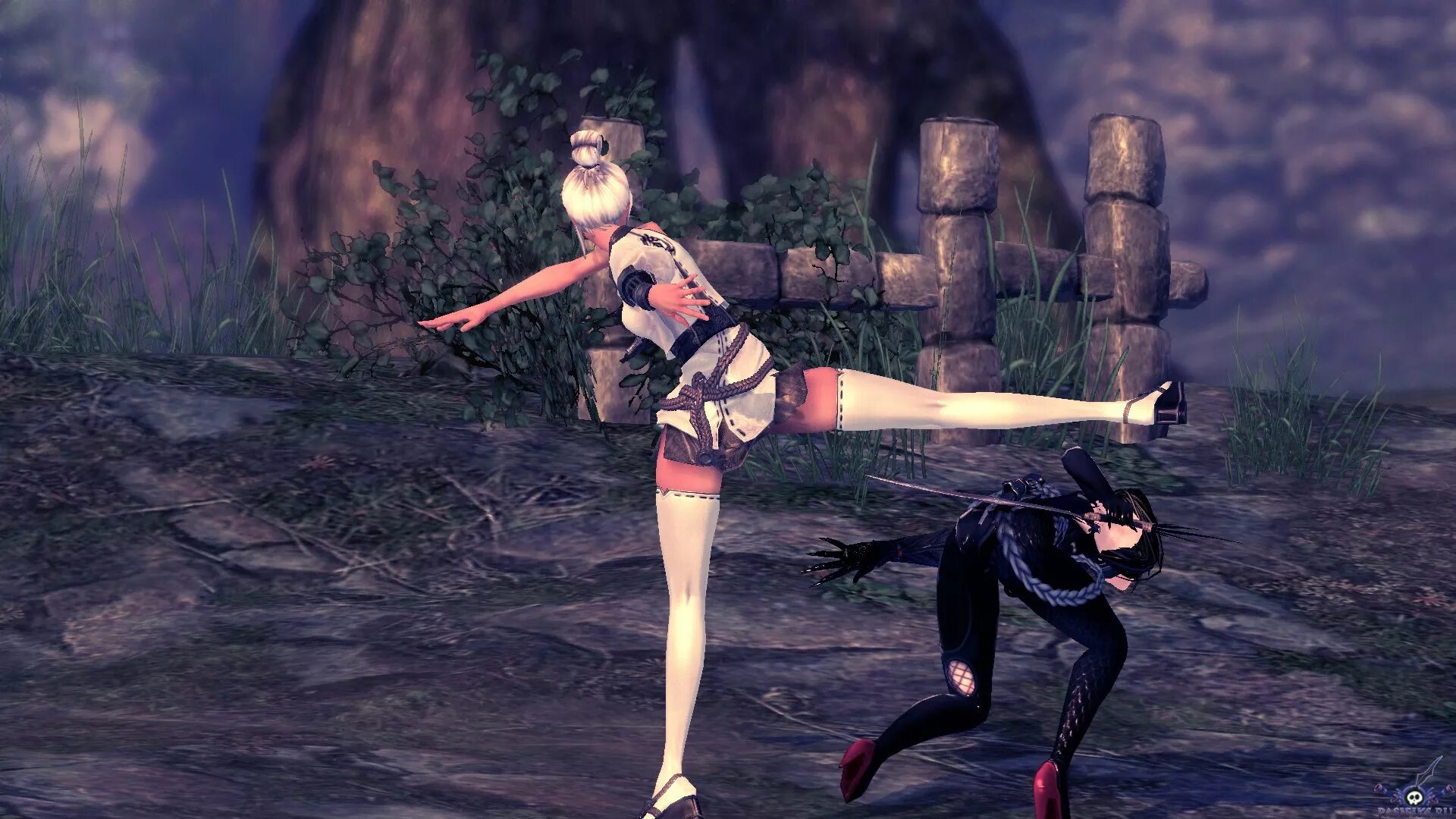 Hyung tae kim blade and soul. Blade 34. Блейд энд соул девушки. Skyrim компаньон девочка риклинг. Ониблейд аюми.