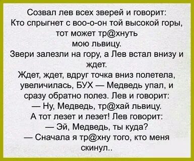 Жил в горах могучий лев сказка