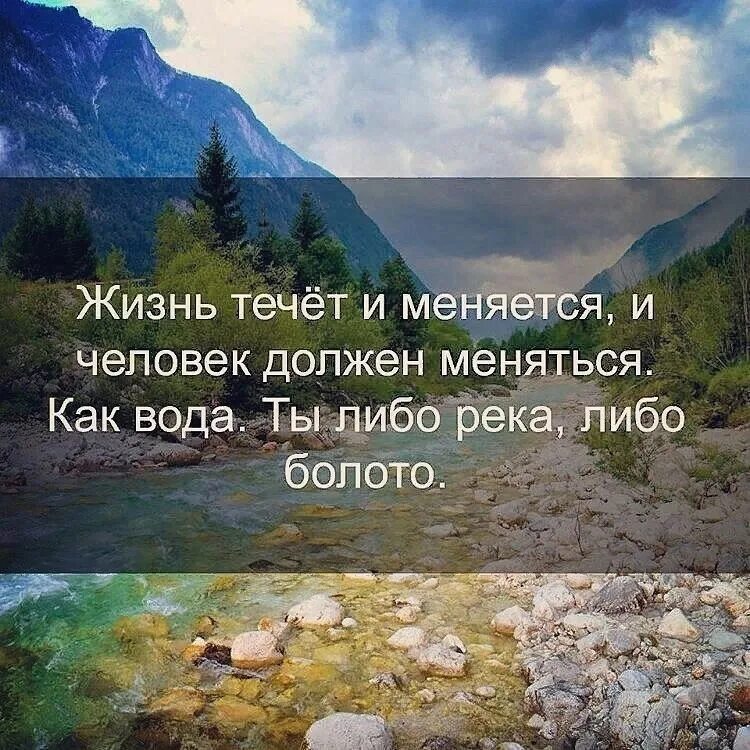 Афоризмы о природе. Красивые цитаты про природу. Высказывания о красоте природы. Красивые высказывания о природе