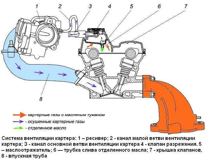 Воздух в двигателе причины. Система вентиляции картерных газов схема. Схема система впуска воздуха двигателя. Схема вентиляции картерных газов к4м. Схема вентиляции картерных газов дизельных двигателей.