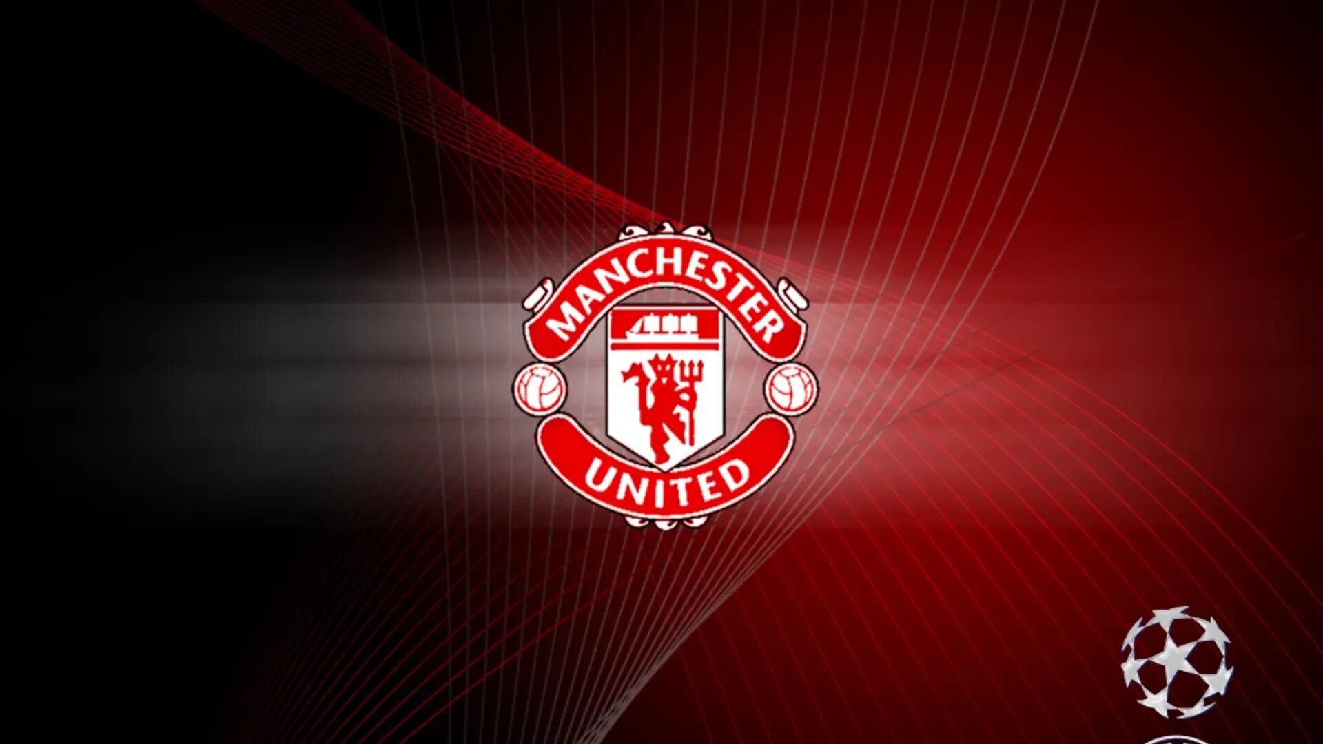 Manchester unites