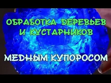 Можно ли опрыскивать смородину медным купоросом