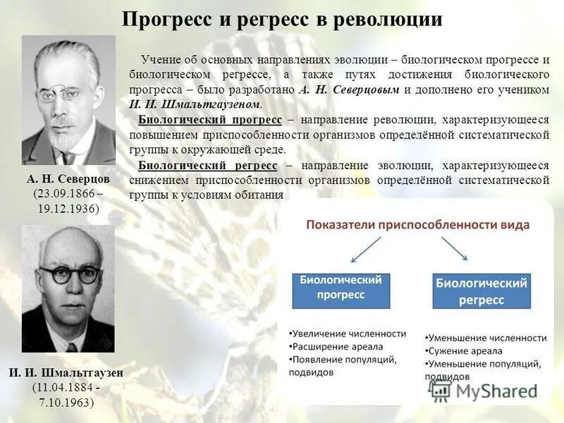 Биологический прогресс и регресс презентация