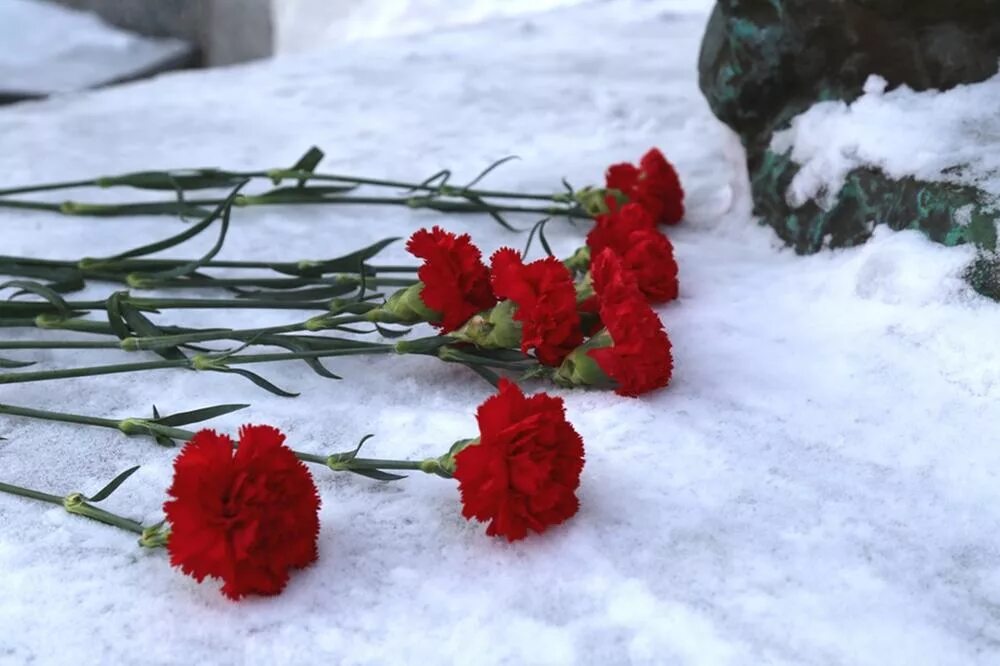 15 февраля день воина интернационалиста. Международный день операционной медсестры. День памяти воинов исполнявших служебный долг за пределами отечества. День воина интернационалиста. 15 февраля женщина.