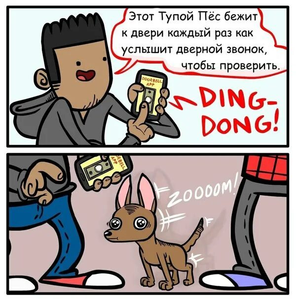 Тупые шавки. Глупый пес. Тупые безмозглые собаки.