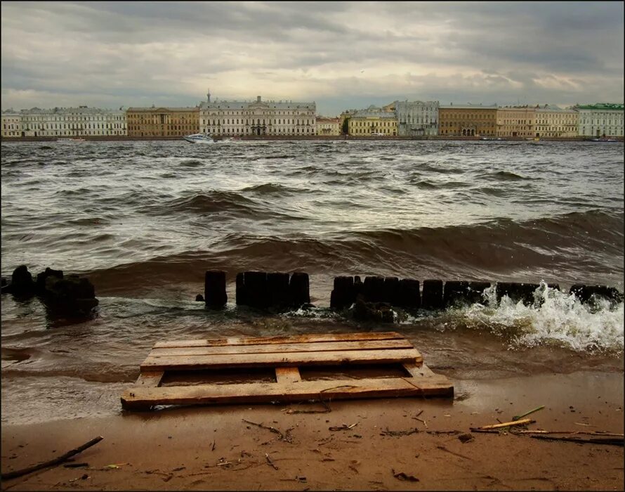 Берег Невы в Питере. Разлив Невы в Питере.