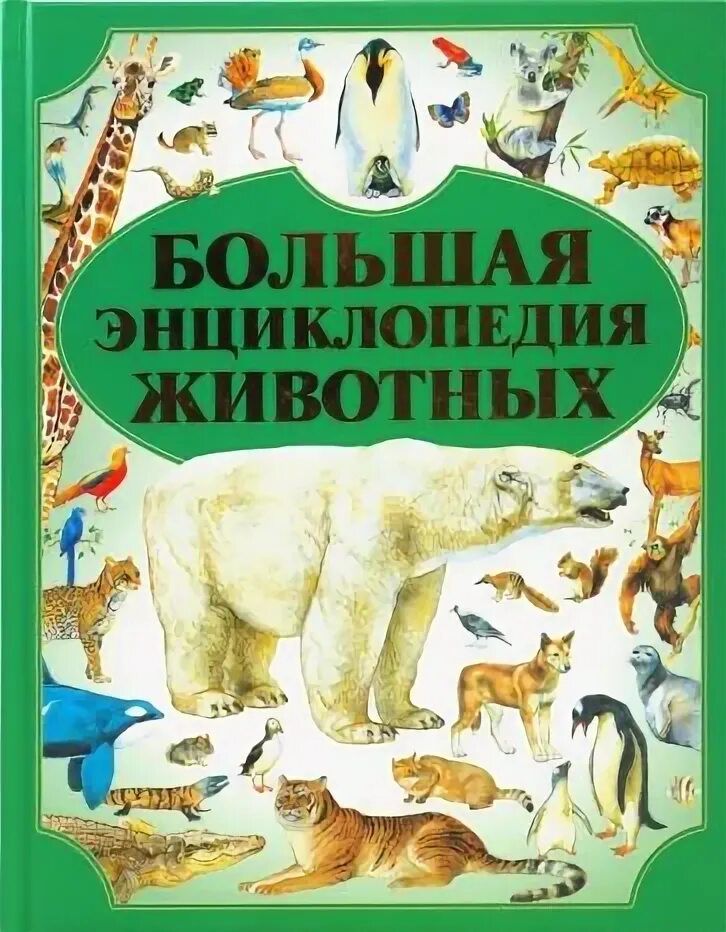 Почемучка энциклопедия 1987. Энциклопедия. Большая энциклопедия почемучек. Как устроена энциклопедия. Книга росмэн животные большая энциклопедия.