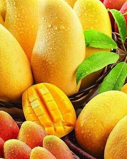 Покажи картинки манго
