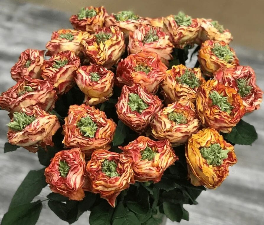 Роза ред айс. Роза каралуна. Всевидящее око наблюдение. Flashy eyes. Flash eye (флеш ай).