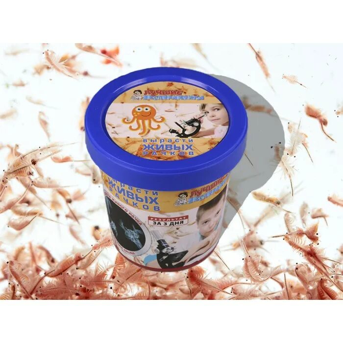набор для выращивания рачков артемия. набор для выращивания рачков. набор для выведения рачков. вырасти живых рачков. набор вырасти живых рачков.