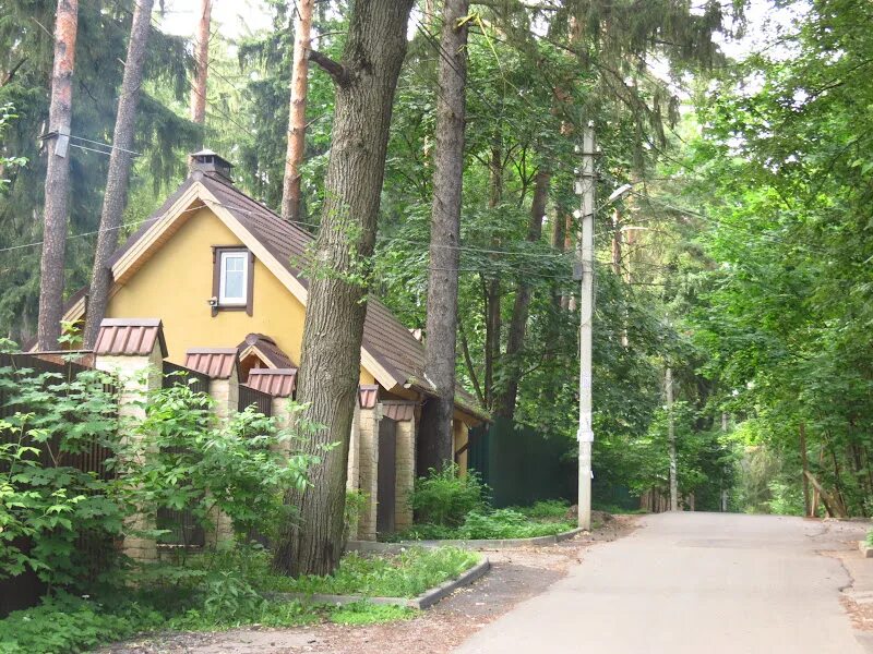 Поселок писателей Переделкино. Городок писателей Переделкино. Писательский городок в Переделкино. Переделкино дом писателей в Переделкино.