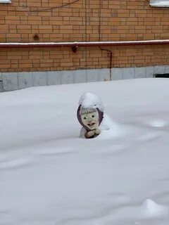 Зимний давай