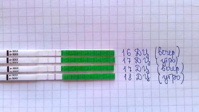 Тест на беременность утренняя моча. Med response тест на овуляцию. Тесты на овуляцию Test med response положительный. Тест мед Респонс на овуляцию. Тест на овуляцию на утреннюю мочу.