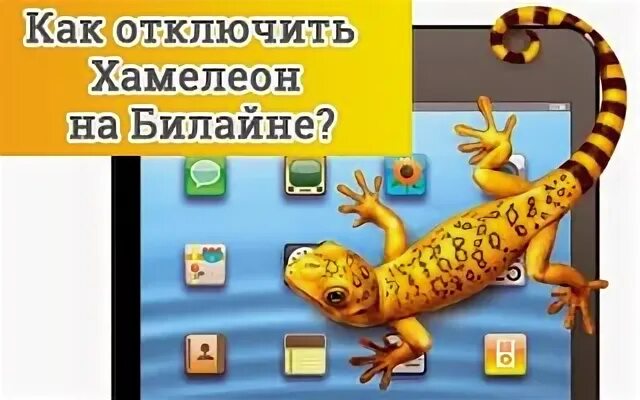 Хамелеон билайн