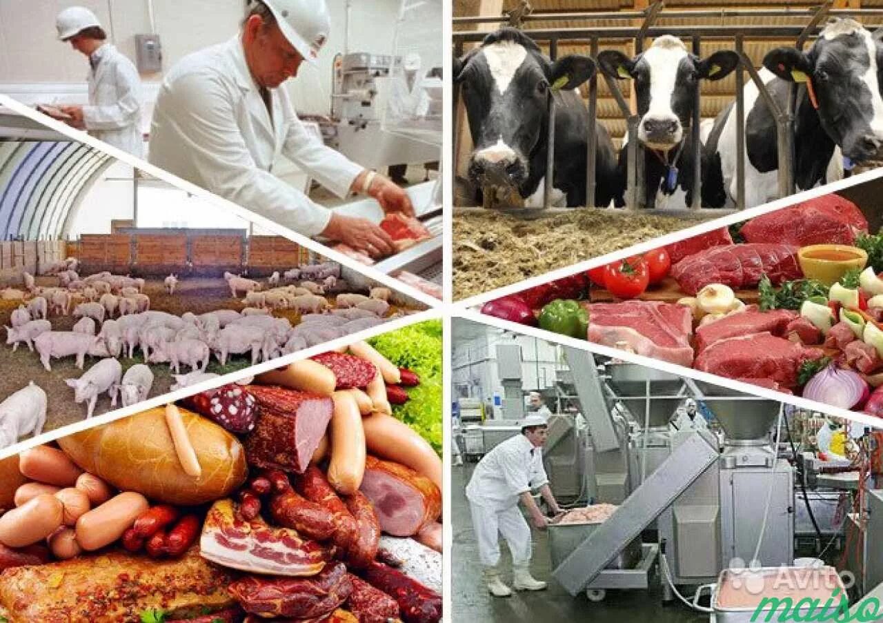 Использование сельскохозяйственной продукции