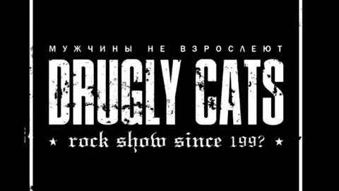 Drugly cats