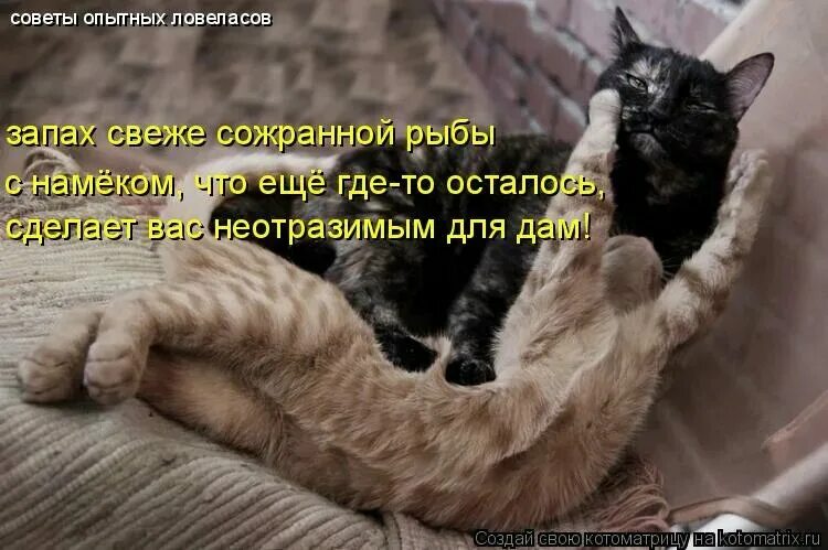 Иди ко мне детка. Иди ко мне. открытки с намеком. иди ко мне картинки. открытки с намеком на симпатию.