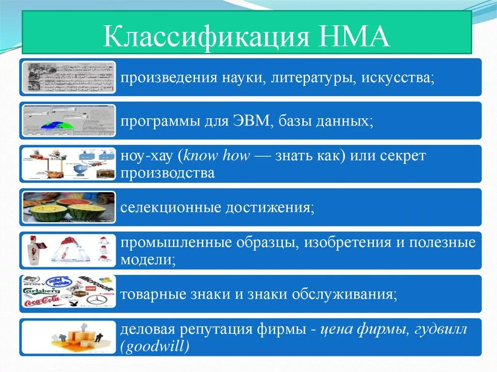 Сайт какой вид нма. Сайт какой вид нма