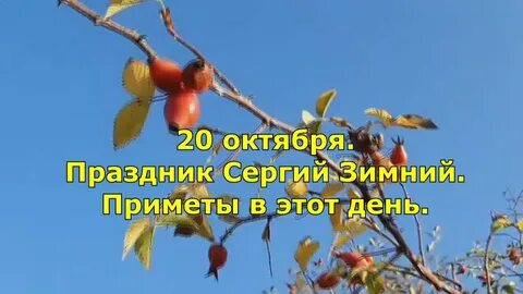 Какой сегодня день праздник 20 октября