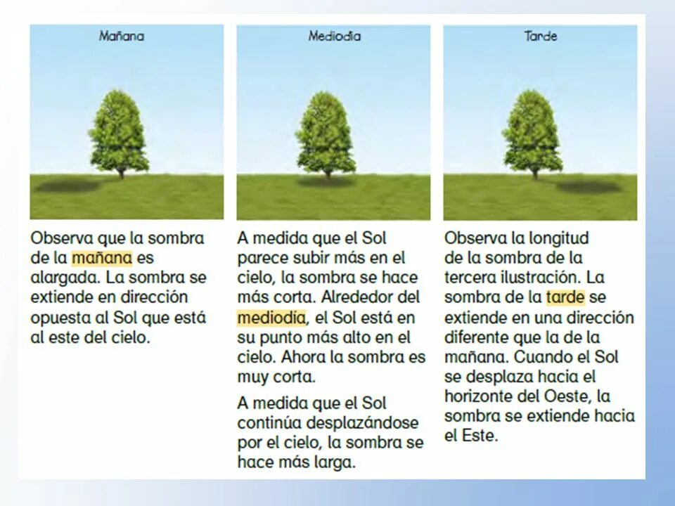 Выберите сол. Sol казино баннеры. Казино sol casino. Выберите сол. Sol sol.