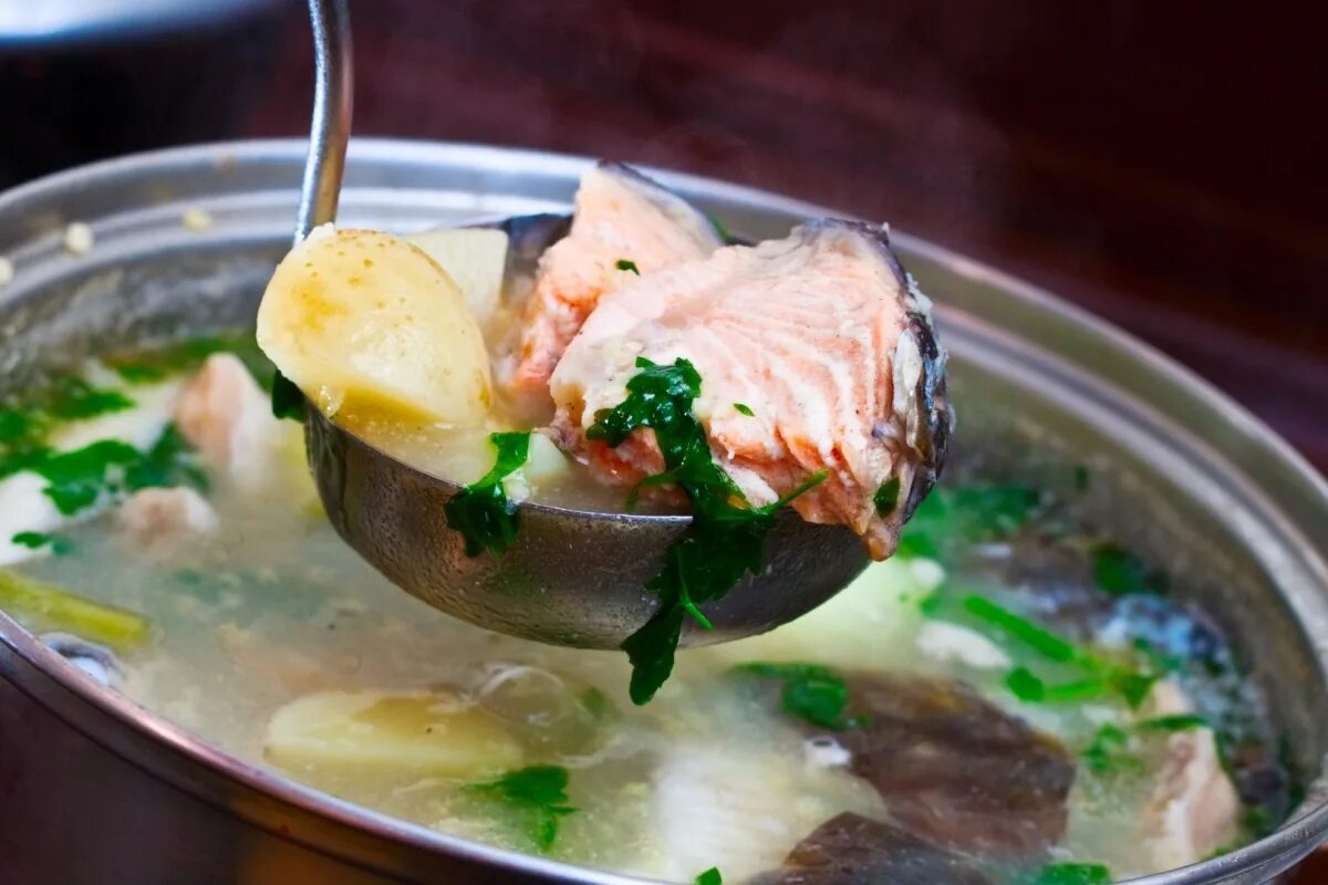 ха ха. суп юшка рыбный суп. как правильно приготовить уху из рыбы. уха из трески. уха из семги.