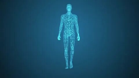Human effect