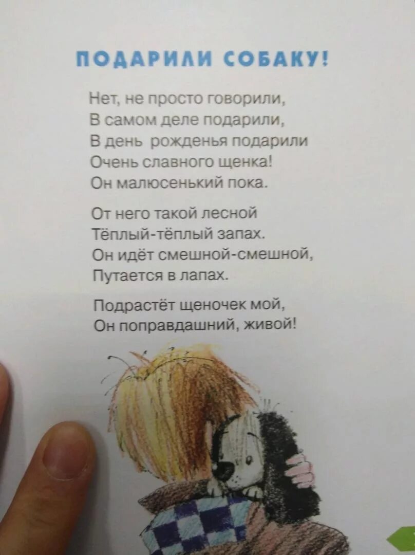 Текст песни подарите собаку. Песня из бременских музыкантов текст. Текст песни подарите собаку. Текст песни подарите собаку. Текст песни подарите собаку.