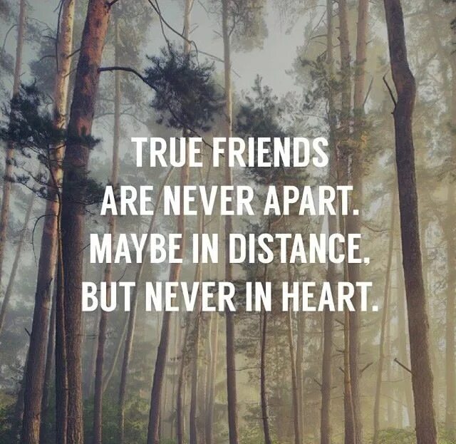 In my friends is a far. Real friends quotes. friend far away. friend are far friends arecnear.