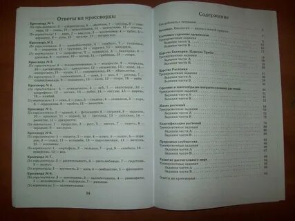 Тест по теме грибы 7 класс биология