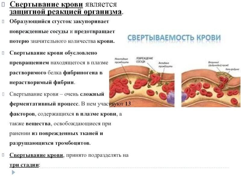 Свертывание крови является