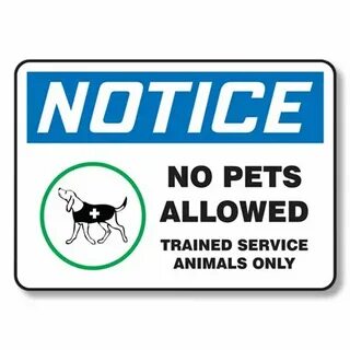 Pets allowed