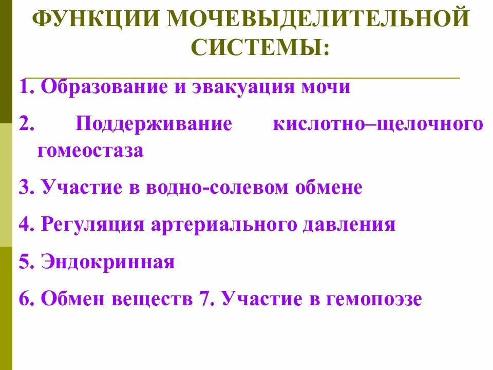 Каковы были его функции. Функции мочевыделительной системы человека кратко. Функции системы мочевыделения. Основные функции мочевыделительной системы. Главные функции мочевыделительной системы.