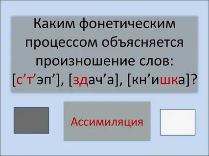 Фонетика морфемика орфография
