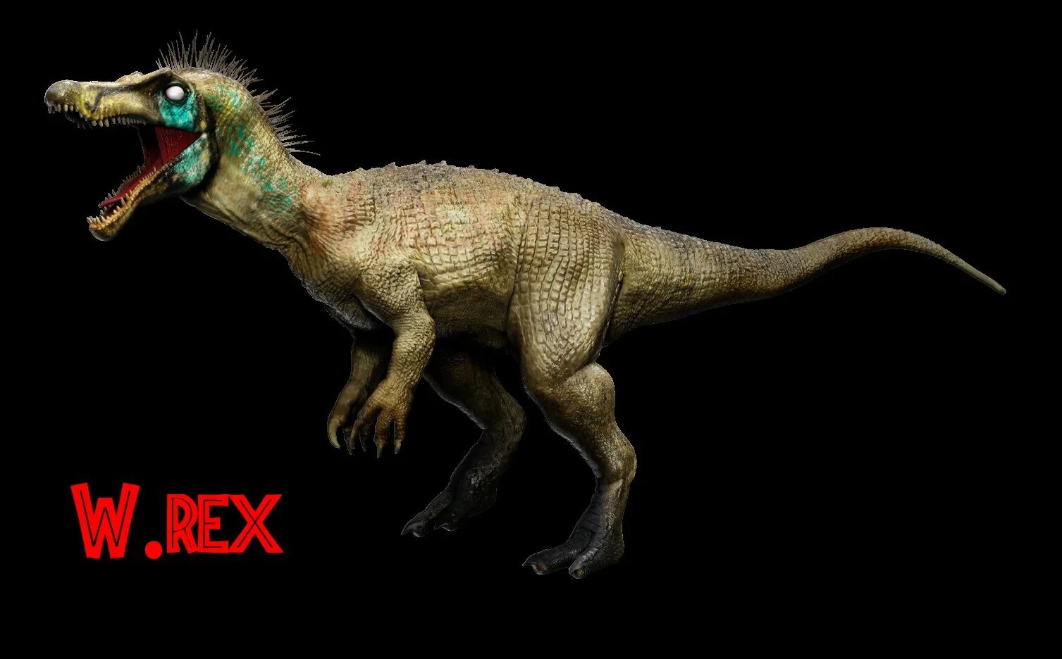 W rex