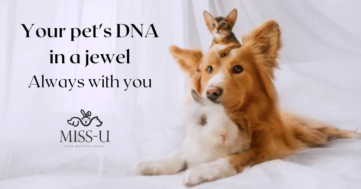 Dogs and cats and rabbits