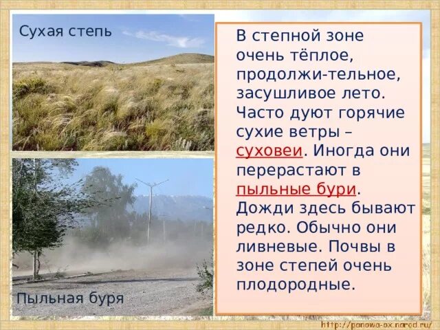 Теплый и сухой ветер дующий по горному. Суховеи в степи. суховей ветер. горячий сухой ветер в степи. ветер суховей в степи.