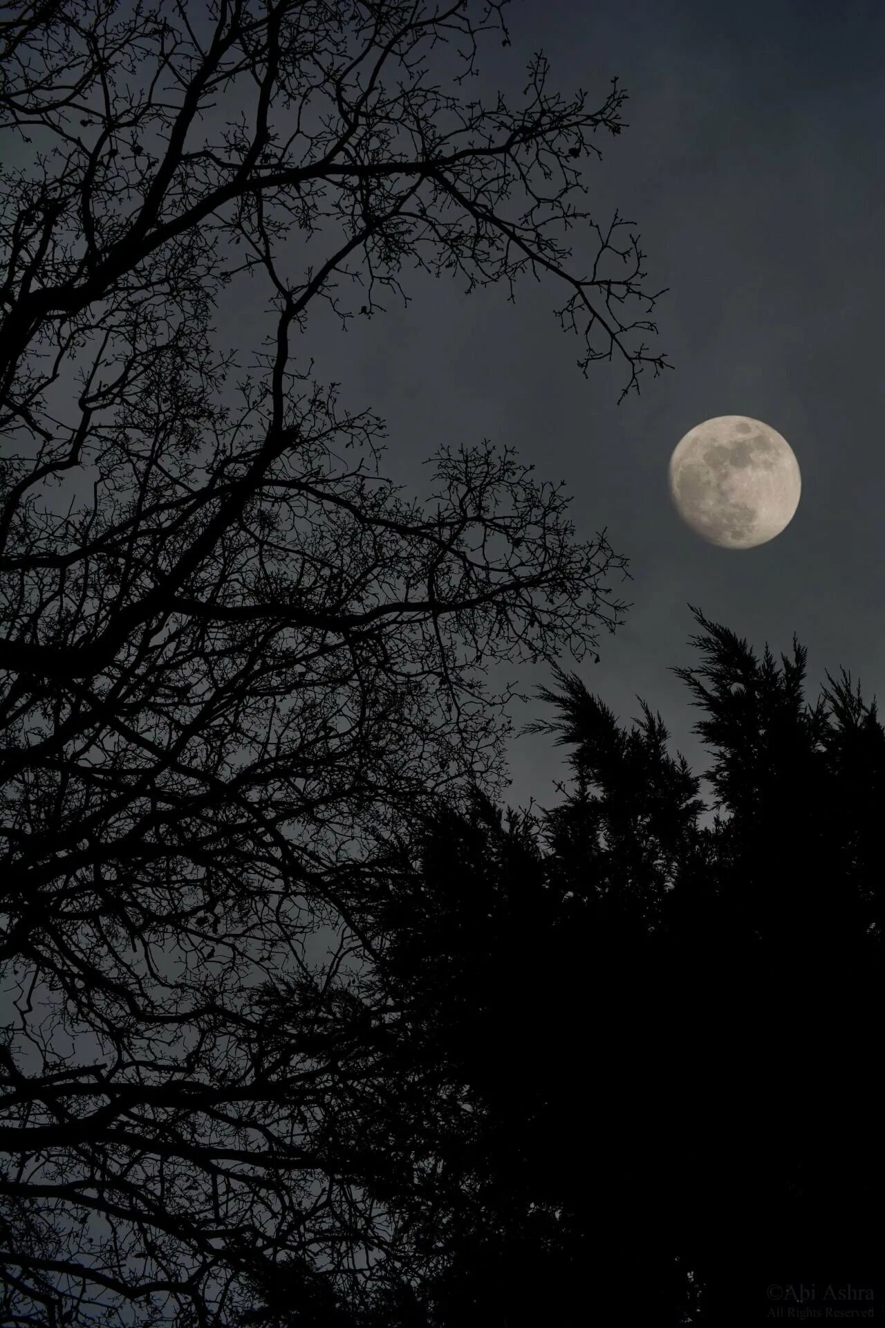 Черное полнолуние. Луна Эстетика. Ночь полнолуния. Полная Луна. Ночное и Луна.