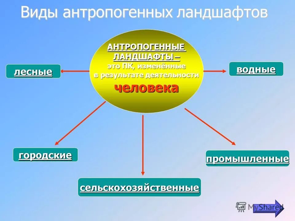 антропогенные природные комплексы. антропогенный ландшафт. антропогенные зоны примеры. компоненты городского ландшафта. антропогенные природные комплексы.