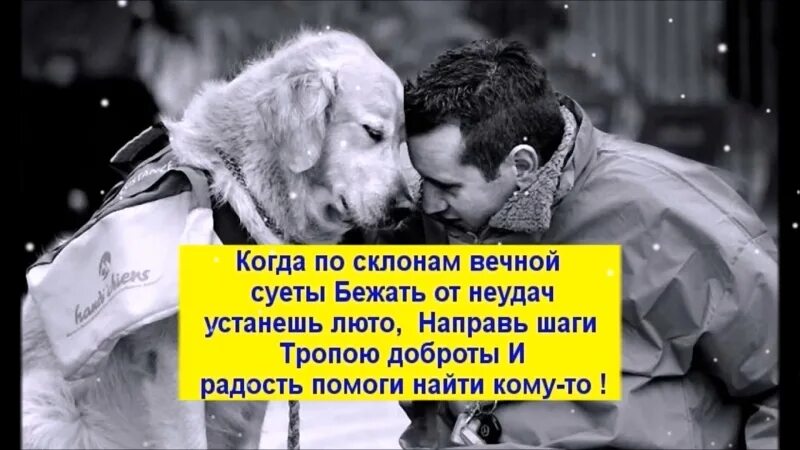 Устал от неудач в форме множественного. Когда по склонам вечной суеты бежать от неудач устанешь люто. когда по склонам вечной суеты бежать. стих когда по склонам вечной суеты.