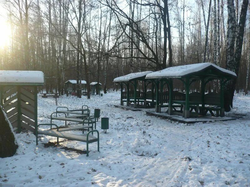 Шашлык в кузьминках