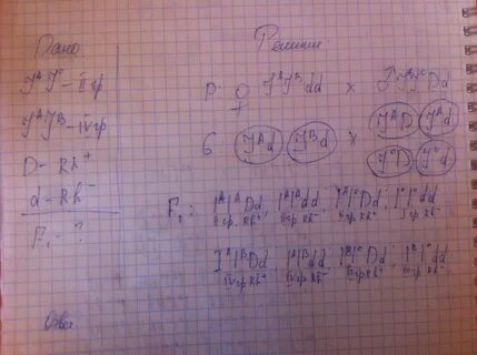 Со 2 группой