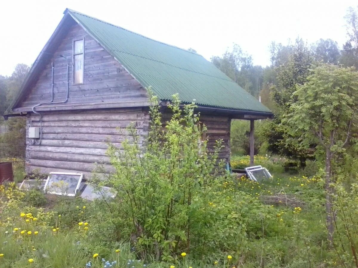 Снт красная заря. Снт красные зори петергоф. Снт красная заря. Снт красная заря. Снт красные горки.