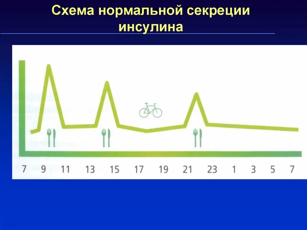 Инсулин в течении дня. Схема нормальной секреции инсулина. Суточная секреция инсулина. Схема суточной секреции инсулина. Схема суточной секреции инсулина в норме.