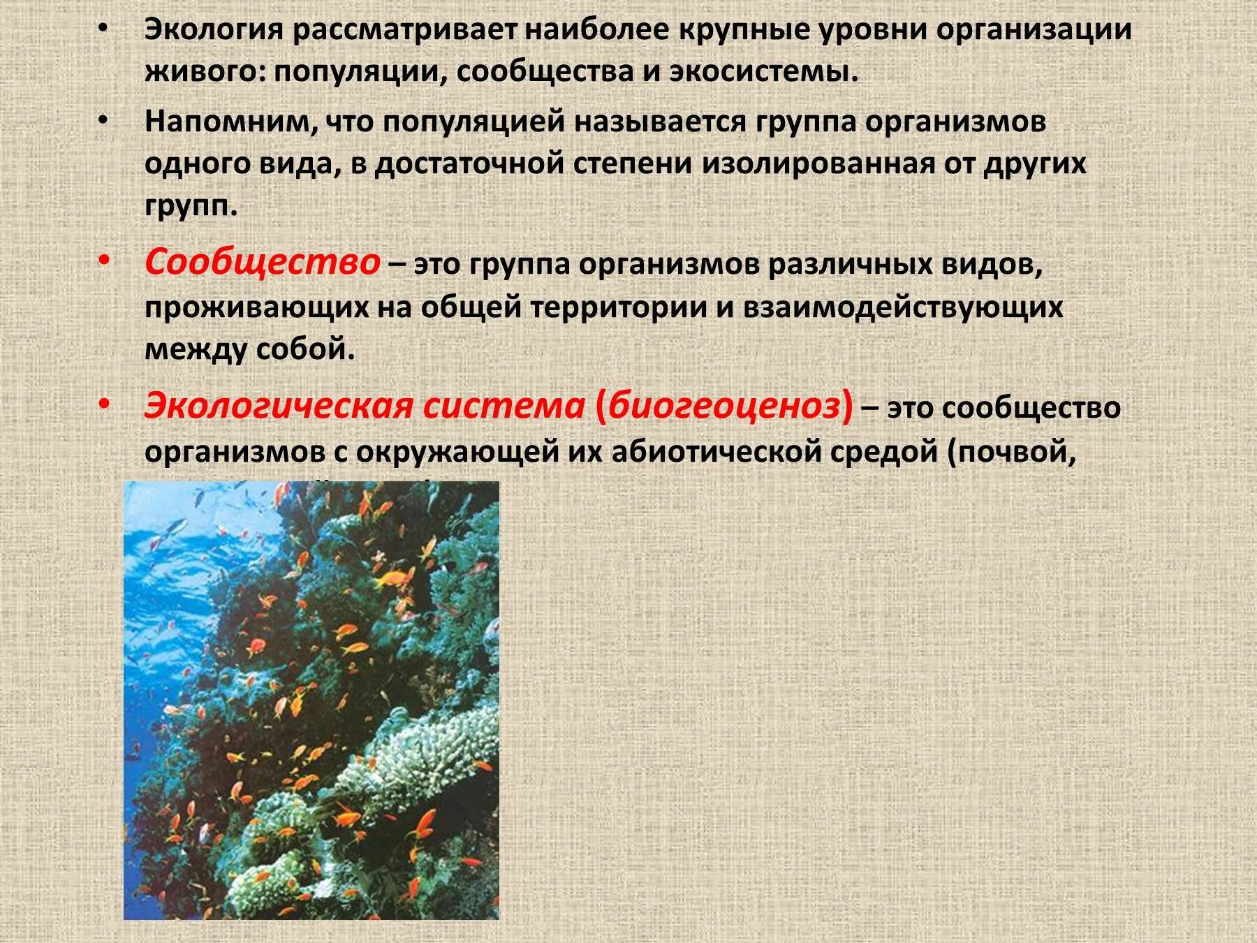 Скопление живых организмов. Сообщество это в экологии. Экология популяций и сообществ. Экология сообществ и экосистем. Типы экологических сообществ.