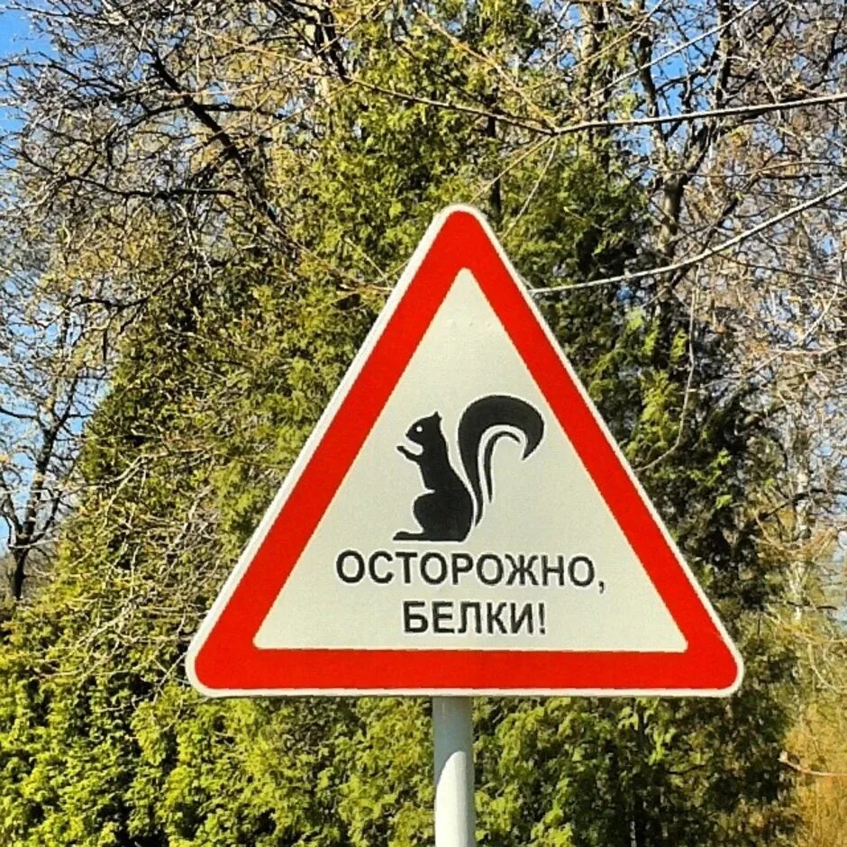 Совсем знаков