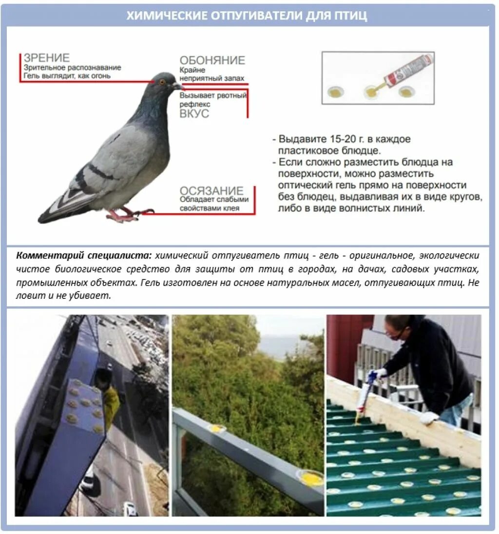 Защита от птиц на крыше. Для отпугивания птиц с кровли. Отпугиватель птиц на балкон. Отпугивание голубей. Голуби на крыше балкона